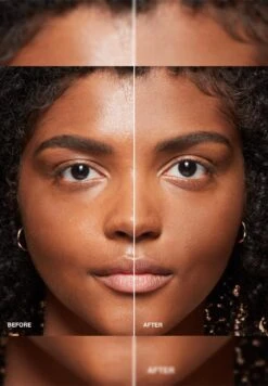 Bobbi Brown Sheer Finish Pressed Powder - Basic Brown​ -Bobbi Brown original 325